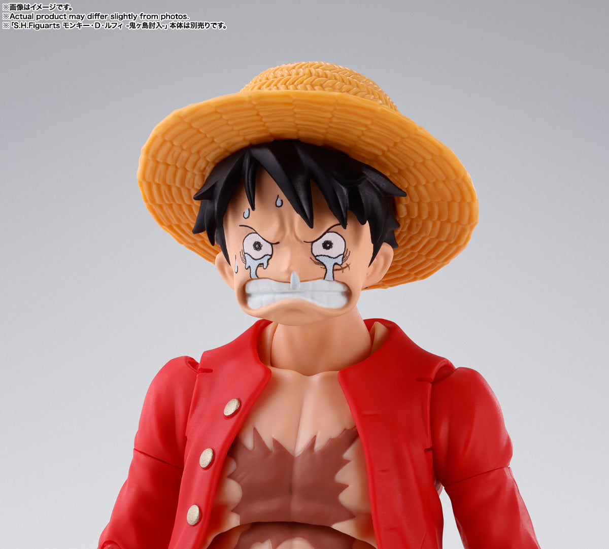 S.H.Figuarts Sabo -REVOLUTIONARY ARMY CHIEF OF STAFF-